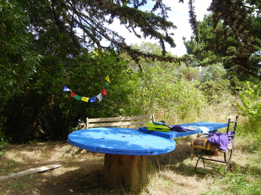 Jardín del hostal, lugar ideal para la escritura, encuentros y conexión.