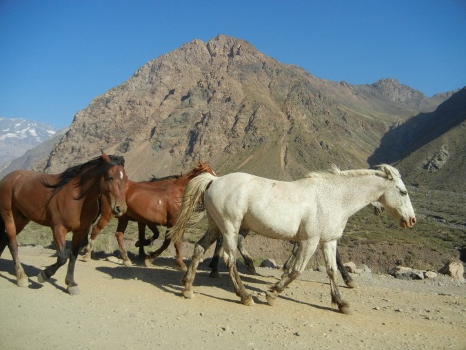Tomada el verano 2012, al bajar del Morado, zona central de Chile