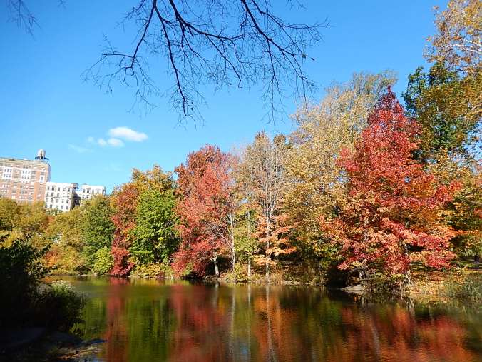 Otoño en Central Park