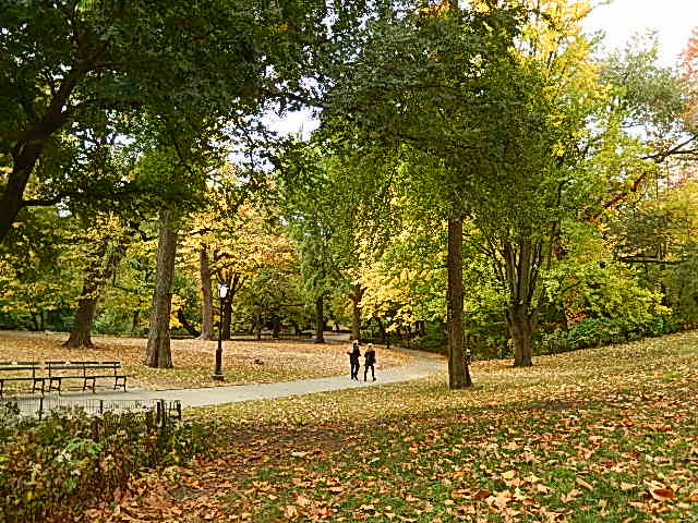 Una mañana en Central Park