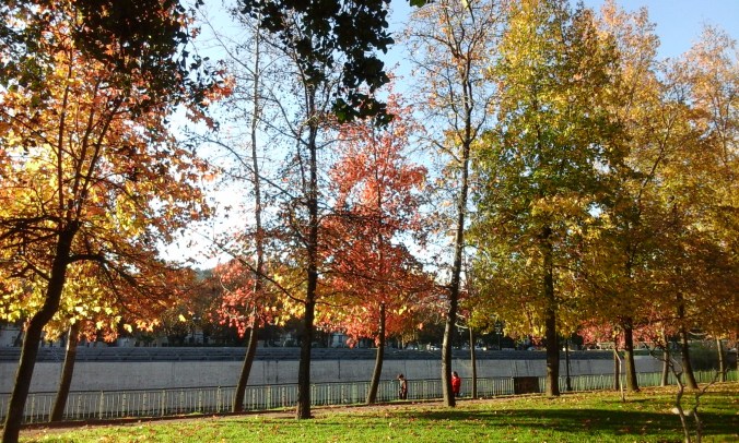Otoño 2016 en Santiago