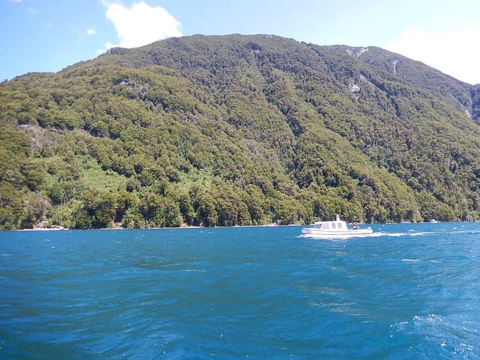 Lago Todos Los Santos