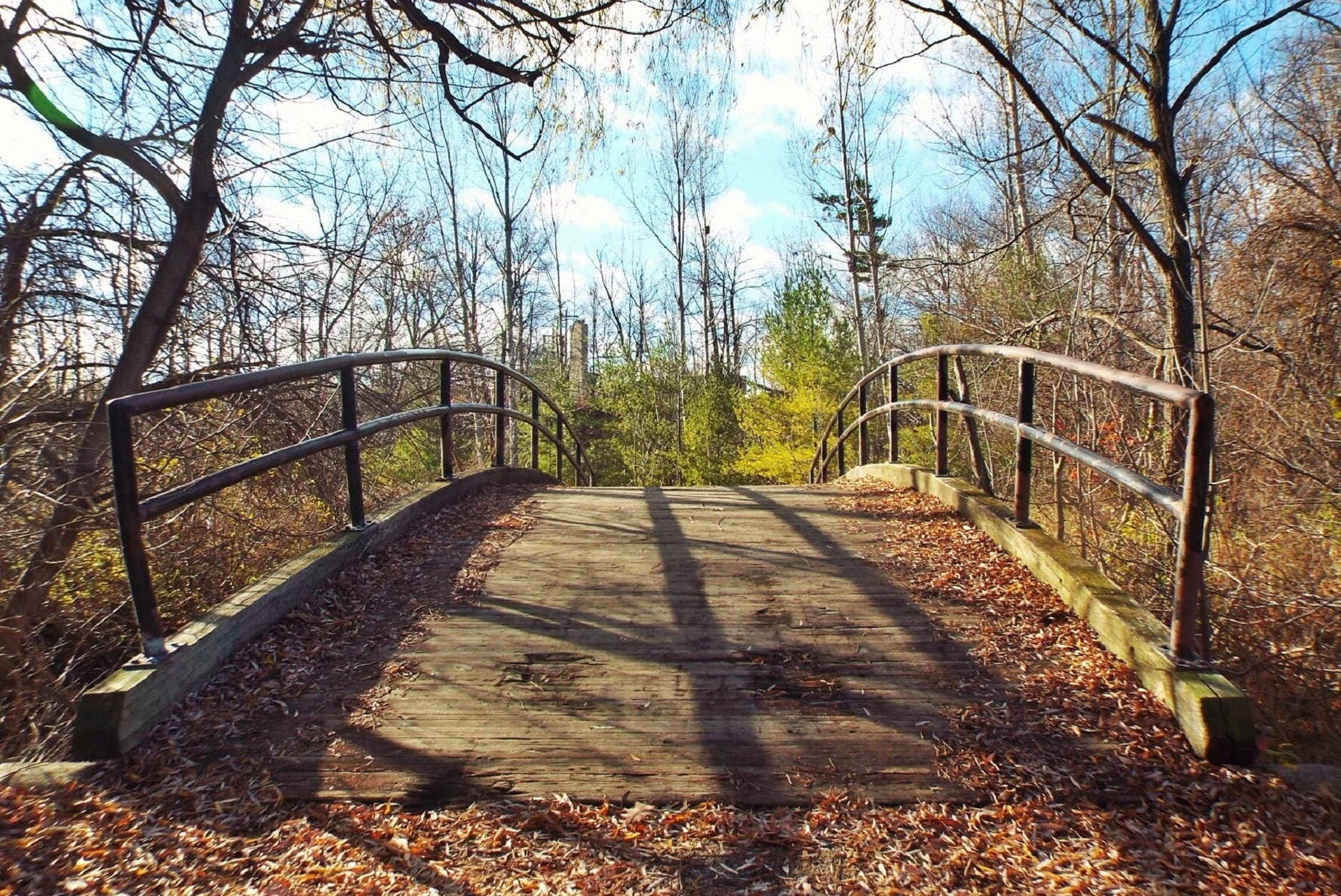 bridge photography during daytime