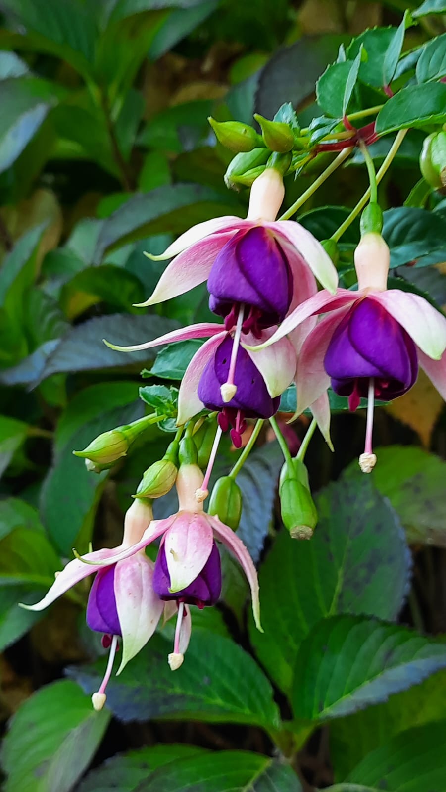 WhatsApp Image 2022-09-15 at 11.33.38