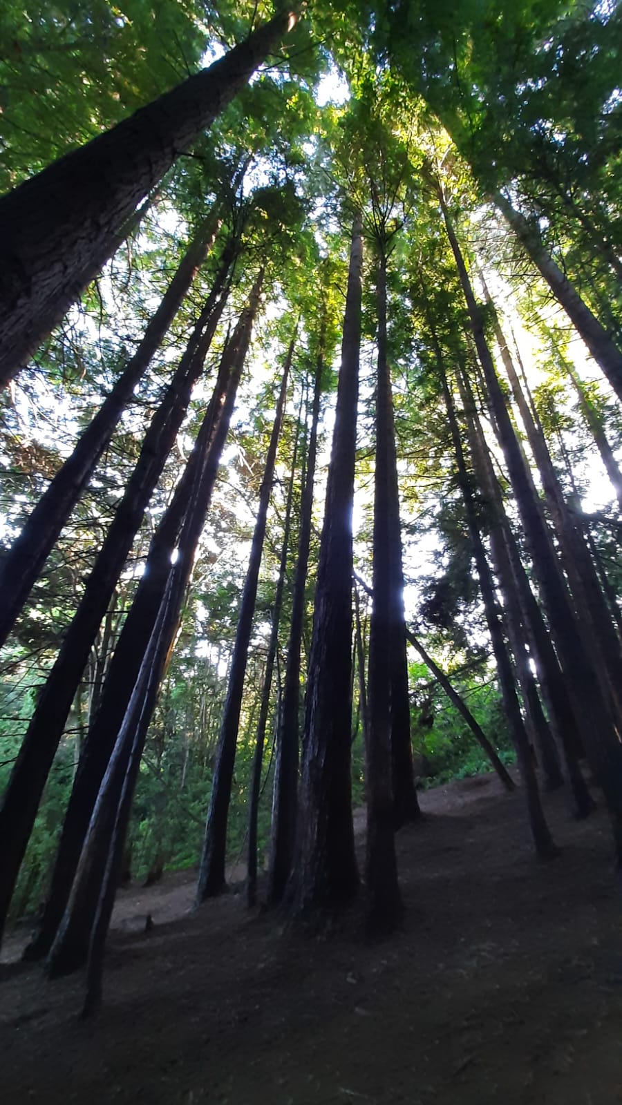 WhatsApp Image 2023-01-20 at 13.50.29